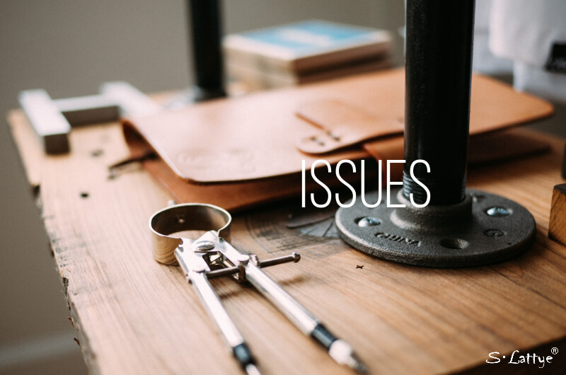 issues of shower curtains or shower doors