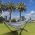 hammock set green